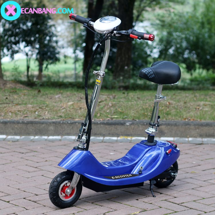 Xe điện mini E scooter gấp gọn tại Hồ Chí Minh