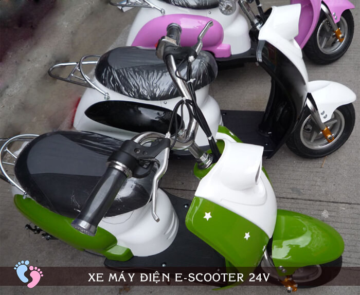Xe máy điện E-scooter 24V 1